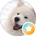 Elaine S Avatar